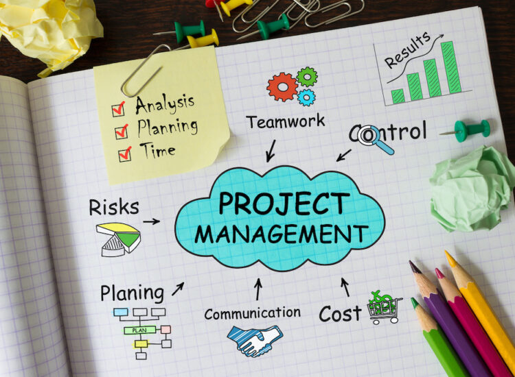 Project Management Graphic with Risks, Teamwork, Planning, Communication, Control, and Cost